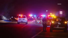 US, Phoenix: Laveen CAUGHT ON CAMERA Deputies Euthanize Horse With Rifle Following Collision