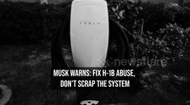 Musk Warns: Fix H-1B Abuse, Don't Scrap the System