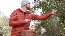 Forager saves £200 a month on food shop by picking food in his local park