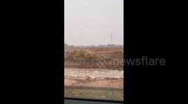 Saudi Arabia: The river rages during heavy rains in Taifa