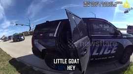 Loose Goat Jumps Into Patrol Car, Steals Show in Texas