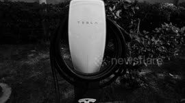 UNCAPTIONED: Musk Warns: Fix H-1B Abuse, Don't Scrap the System