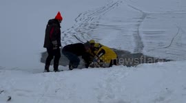 US: Firefighters Rescue Deer From Whitewater Lake Ice
