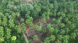 Death Toll Rises in Melsiripura Landslide as Recovery Efforts Continue