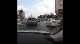 Meanwhile at a City Intersection: Joyful Kids Ride a Donkey Through Traffic