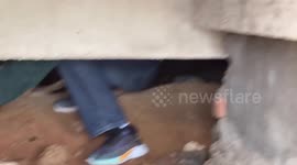 Passerby climbs under building to rescue stray dog stuck inside