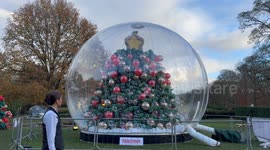 Woman builds 25ft Christmas tree made from 100,000 balloons