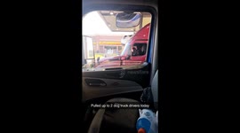 Trucker Finds Two Rottweilers 