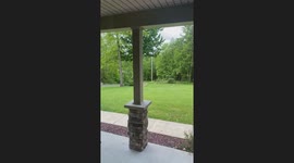 Adorable fawn gets the 'zoomies' while mom and sibling watch in Pennsylvania