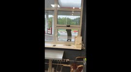 Curious cat slides down window while trying to break into Belarus gas station