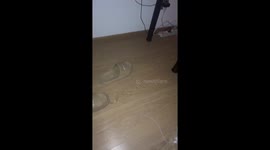 Man can't stop laughing after finding cat sitting exactly like a human on bed