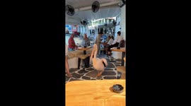 Famous pelican 'Petros' strolls casually through busy restaurant in Mykonos