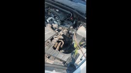 Smoke billows from BMW engine as driver jokes about breakdown in Bucharest