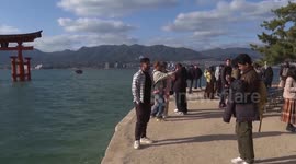 Japan: Political tensions with China cast shadow on Japan's oyster industry