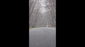 Snow, hail, and graupel sweep through town in New Jersey, USA