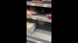 Shopper shocked to find cat eating raw chicken on supermarket shelf in UK