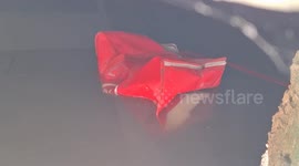 Monitor lizard seen carrying away corpse of abandoned newborn baby