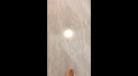 Dog waits for owner to return home with shopping then steals snack