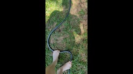 Toddler gets a wet surprise after peering directly into garden hose in Georgia