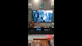 Fishes appear to watch TV movie with owner in Shandong, China