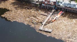 The appearance of logs covering Lake Singkarak in West Sumatra after a flash flood