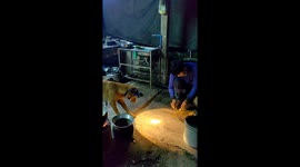 Helpful Puppy Holds The Light