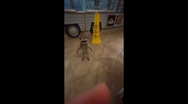 Raccoon Wanted a Bite of My Burger