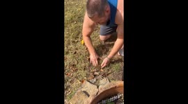 Man Catches a Mole by Hand