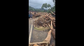 Flash Flood Aftermath: S. Tapanuli Buried Under Logging Waste
