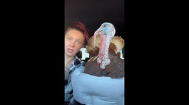 Attempting to Share Breakfast With My Turkey