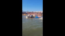 Bull Runs Loose on the Beach During Spanish Festival