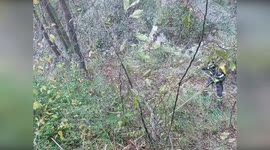 Italy: Hunting Dog Rescued After Three Days Trapped On Monte Fregnano