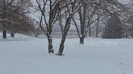 US: Winter Storm Brings Overnight Snow to Kentucky 3