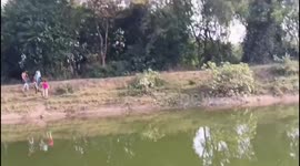 Leopard Sparks Panic in Gujarat Village, Attacks Three Residents