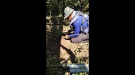 Thai soldiers claim Cambodia has laid fresh land mines along border