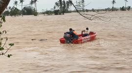 Firemen rescue drowning calf swept away by flood in the Philippines