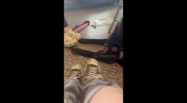 Annoyed dog hilariously stops owner from tapping feet in West Virginia