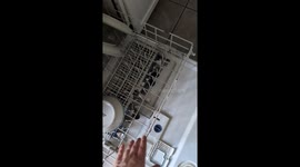 Canadian man discovers funny reason why dishwasher won't close: his cat