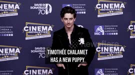 Timothée Chalamet introduces adorable new puppy