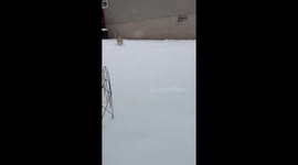 US: Winter Storm Hits Pennsylvania, Dropping Several Inches of Snow 2