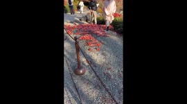 Chinese tourist clambers over barrier to attack Taiwan shrine