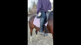 Horse’s braided tail playfully strikes rider in Middleboro, USA