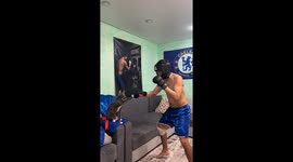 Cat becomes playful sparring partner in Bukhtarma, Kazakhstan