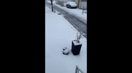 US: Winter Storm Hits Pennsylvania, Dropping Several Inches of Snow 3