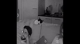 Cat nearly falls off sofa during nap in Zurich, Switzerland