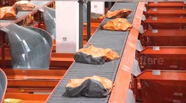 China: China's logistics sector expands in November, outlook remains upbeat