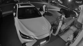 Woman falls into bushes after night out in Monmouth, New Jersey, USA