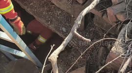 China: Firefighters Rescue Farmer's Geese From Well In Fuxin