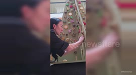 UNCAPTIONED: British designer creates 12-foot Christmas Tree crafted from 1,000 cookies