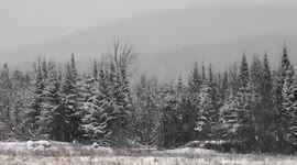 Heavy snowfall transforms Lake Placid, New York, USA